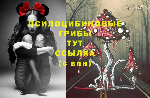 ALPHA PVP Няндома