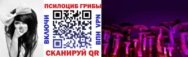 Галлюциногенные грибы мицелий Опочка